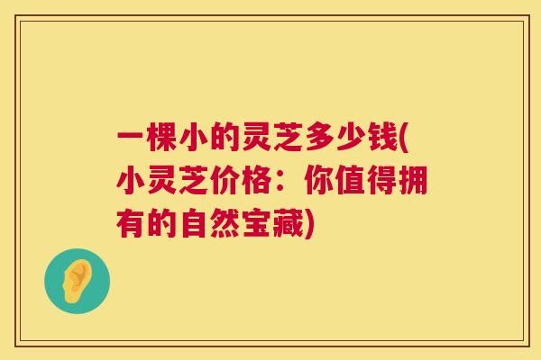一棵小的灵芝多少钱(小灵芝价格：你值得拥有的自然宝藏)