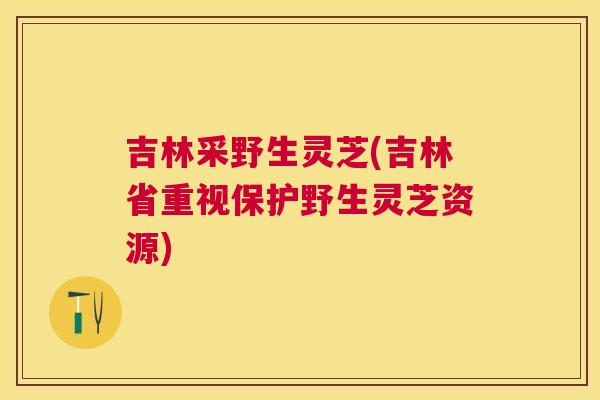 吉林采野生灵芝(吉林省重视保护野生灵芝资源) 吉林采野生灵芝(吉林省重视保护野生灵芝资源)