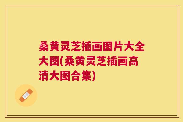 桑黄灵芝插画图片大全大图(桑黄灵芝插画高清大图合集)