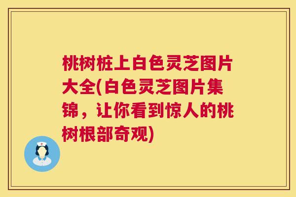 桃树桩上白色灵芝图片大全(白色灵芝图片集锦，让你看到惊人的桃树根部奇观)