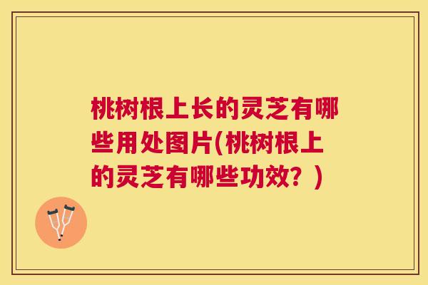桃树根上长的灵芝有哪些用处图片(桃树根上的灵芝有哪些功效？)