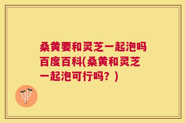 桑黄要和灵芝一起泡吗百度百科(桑黄和灵芝一起泡可行吗？)