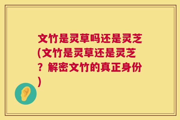 文竹是灵草吗还是灵芝(文竹是灵草还是灵芝？解密文竹的真正身份)