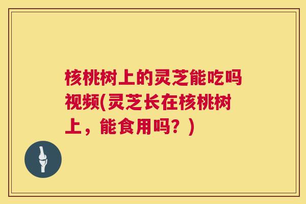 核桃树上的灵芝能吃吗视频(灵芝长在核桃树上,能食用吗?) 核桃树上的灵芝能吃吗视频(灵芝长在核桃树上,能食用吗?)