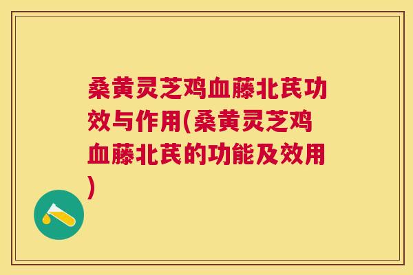 桑黄灵芝鸡藤北芪功效与作用(桑黄灵芝鸡藤北芪的功能及效用)