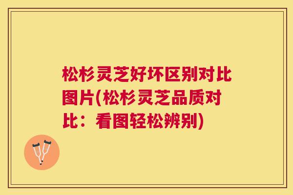 松杉灵芝好坏区别对比图片(松杉灵芝品质对比：看图轻松辨别)