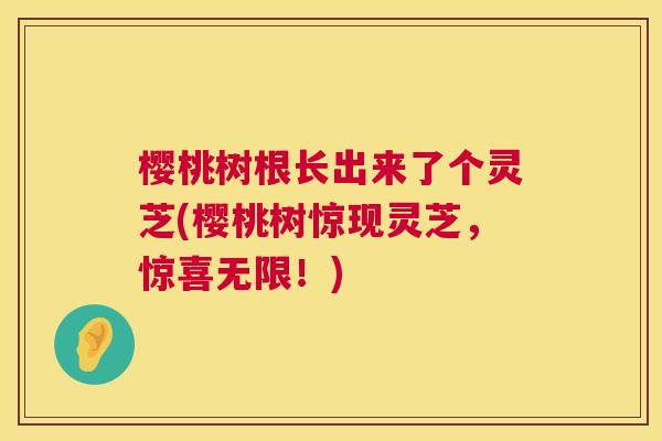 樱桃树根长出来了个灵芝(樱桃树惊现灵芝，惊喜无限！)