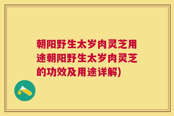 朝阳野生太岁肉灵芝用途朝阳野生太岁肉灵芝的功效及用途详解)