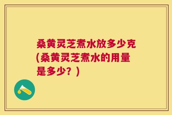 桑黄灵芝煮水放多少克(桑黄灵芝煮水的用量是多少?) 桑黄灵芝煮水放多少克(桑黄灵芝煮水的用量是多少?)