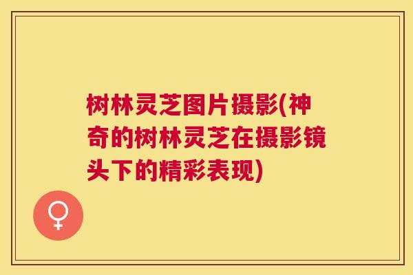 树林灵芝图片摄影(神奇的树林灵芝在摄影镜头下的精彩表现)