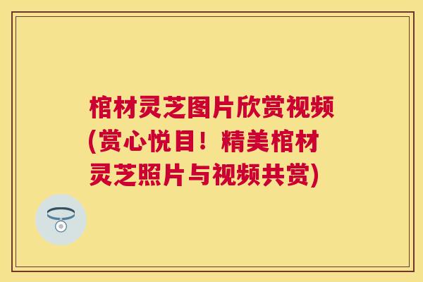 棺材灵芝图片欣赏视频(赏心悦目!精美棺材灵芝照片与视频共赏) 棺材灵芝图片欣赏视频(赏心悦目!精美棺材灵芝照片与视频共赏)