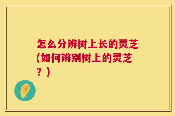 怎么分辨树上长的灵芝(如何辨别树上的灵芝?) 怎么分辨树上长的灵芝(如何辨别树上的灵芝?)