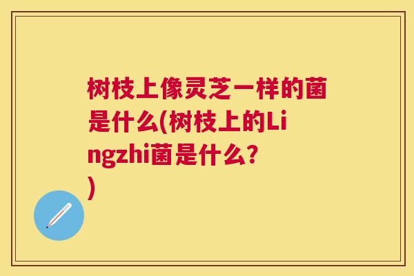 树枝上像灵芝一样的菌是什么(树枝上的Lingzhi菌是什么？)