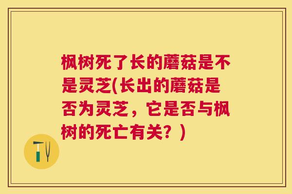 枫树死了长的蘑菇是不是灵芝(长出的蘑菇是否为灵芝，它是否与枫树的死亡有关？)