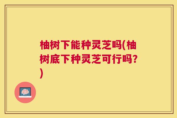 柚树下能种灵芝吗(柚树底下种灵芝可行吗?) 柚树下能种灵芝吗(柚树底下种灵芝可行吗?)