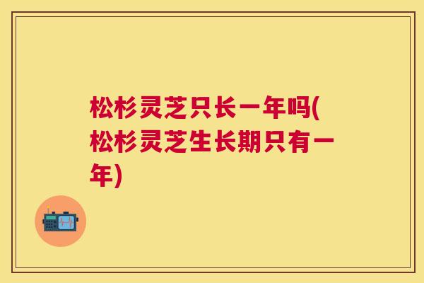 松杉灵芝只长一年吗(松杉灵芝生长期只有一年) 松杉灵芝只长一年吗(松杉灵芝生长期只有一年)