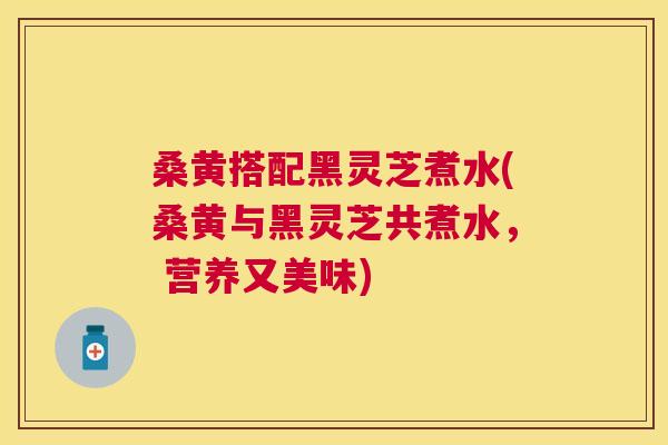 桑黄搭配黑灵芝煮水(桑黄与黑灵芝共煮水, 营养又美味) 桑黄搭配黑灵芝煮水(桑黄与黑灵芝共煮水, 营养又美味)