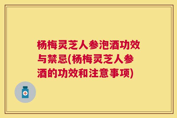 杨梅灵芝人参泡酒功效与禁忌(杨梅灵芝人参酒的功效和注意事项)