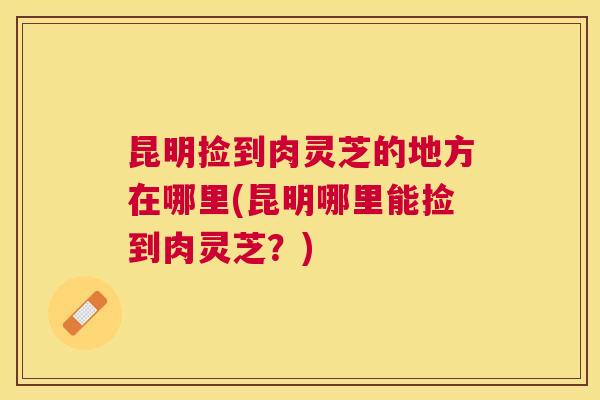 昆明捡到肉灵芝的地方在哪里(昆明哪里能捡到肉灵芝?) 昆明捡到肉灵芝的地方在哪里(昆明哪里能捡到肉灵芝?)