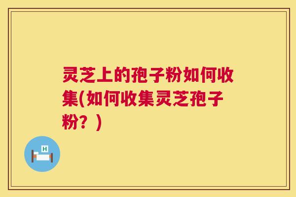 灵芝上的孢子粉如何收集(如何收集灵芝孢子粉?) 灵芝上的孢子粉如何收集(如何收集灵芝孢子粉?)