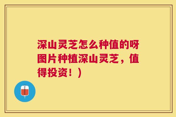 深山灵芝怎么种值的呀图片种植深山灵芝,值得投资!) 深山灵芝怎么种值的呀图片种植深山灵芝,值得投资!)
