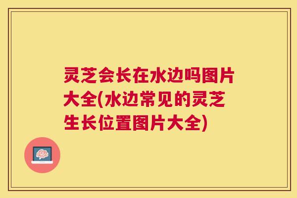 灵芝会长在水边吗图片大全(水边常见的灵芝生长位置图片大全) 灵芝会长在水边吗图片大全(水边常见的灵芝生长位置图片大全)