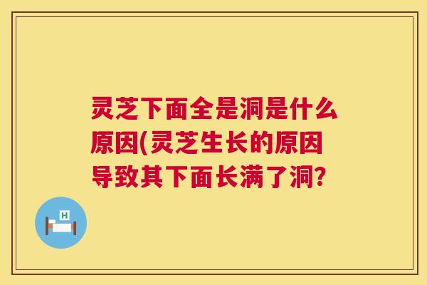 灵芝下面全是洞是什么原因(灵芝生长的原因导致其下面长满了洞? 灵芝下面全是洞是什么原因(灵芝生长的原因导致其下面长满了洞?