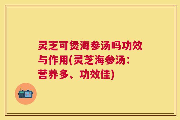 灵芝可煲海参汤吗功效与作用(灵芝海参汤：营养多、功效佳)