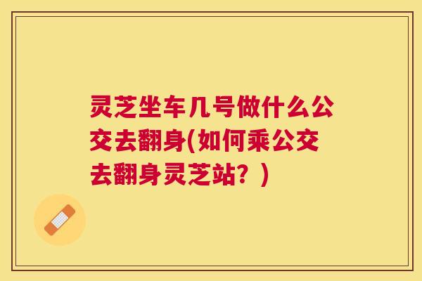 灵芝坐车几号做什么公交去翻身(如何乘公交去翻身灵芝站?) 灵芝坐车几号做什么公交去翻身(如何乘公交去翻身灵芝站?)