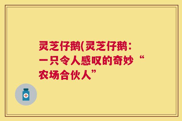灵芝仔鹅(灵芝仔鹅:一只令人感叹的奇妙“农场合伙人” 灵芝仔鹅(灵芝仔鹅:一只令人感叹的奇妙“农场合伙人”