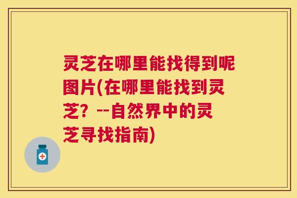 灵芝在哪里能找得到呢图片(在哪里能找到灵芝?--自然界中的灵芝寻找指南) 灵芝在哪里能找得到呢图片(在哪里能找到灵芝?--自然界中的灵芝寻找指南)