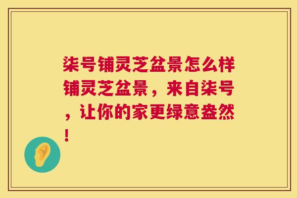 柒号铺灵芝盆景怎么样铺灵芝盆景，来自柒号，让你的家更绿意盎然！