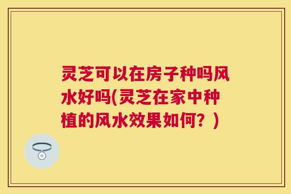灵芝可以在房子种吗风水好吗(灵芝在家中种植的风水效果如何?) 灵芝可以在房子种吗风水好吗(灵芝在家中种植的风水效果如何?)