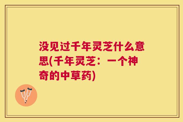 没见过千年灵芝什么意思(千年灵芝：一个神奇的中草药)