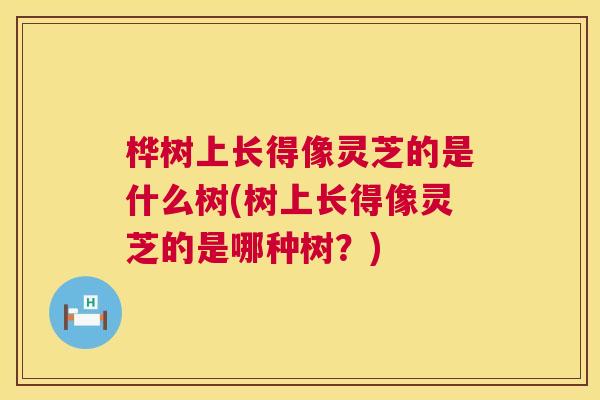 桦树上长得像灵芝的是什么树(树上长得像灵芝的是哪种树？)