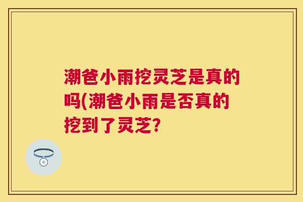 潮爸小雨挖灵芝是真的吗(潮爸小雨是否真的挖到了灵芝？
