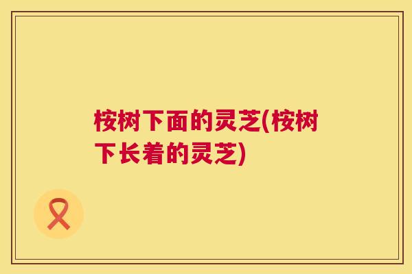 桉树下面的灵芝(桉树下长着的灵芝)