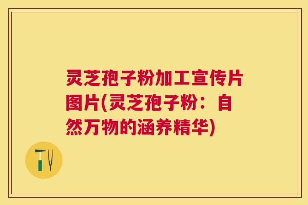 灵芝孢子粉加工宣传片图片(灵芝孢子粉:自然万物的涵养精华) 灵芝孢子粉加工宣传片图片(灵芝孢子粉:自然万物的涵养精华)