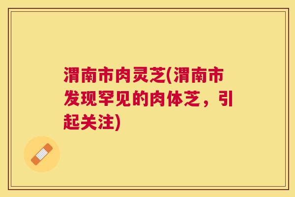 渭南市肉灵芝(渭南市发现罕见的肉体芝，引起关注)