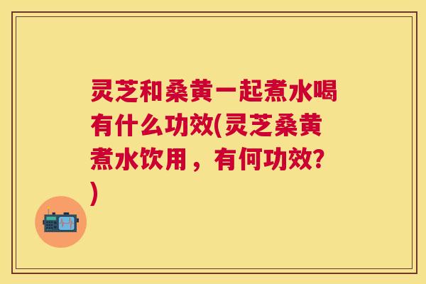 灵芝和桑黄一起煮水喝有什么功效(灵芝桑黄煮水饮用,有何功效?) 灵芝和桑黄一起煮水喝有什么功效(灵芝桑黄煮水饮用,有何功效?)