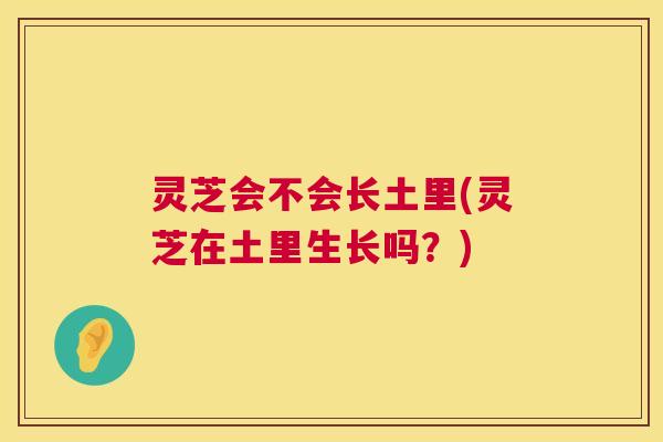 灵芝会不会长土里(灵芝在土里生长吗?) 灵芝会不会长土里(灵芝在土里生长吗?)