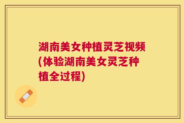 湖南美女种植灵芝视频(体验湖南美女灵芝种植全过程) 湖南美女种植灵芝视频(体验湖南美女灵芝种植全过程)