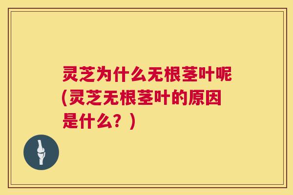 灵芝为什么无根茎叶呢(灵芝无根茎叶的原因是什么?) 灵芝为什么无根茎叶呢(灵芝无根茎叶的原因是什么?)