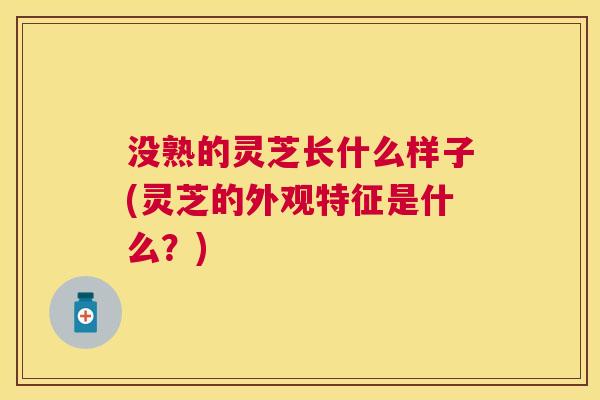 没熟的灵芝长什么样子(灵芝的外观特征是什么?) 没熟的灵芝长什么样子(灵芝的外观特征是什么?)