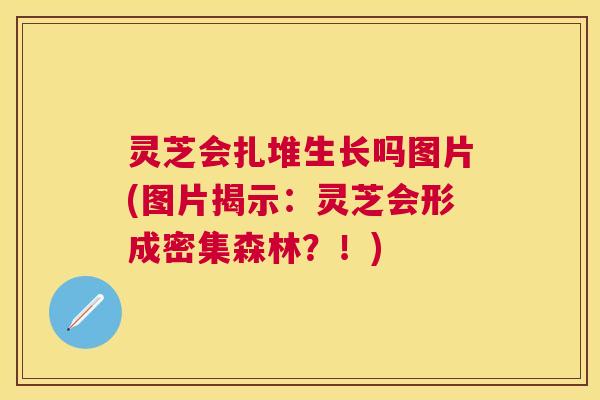 灵芝会扎堆生长吗图片(图片揭示:灵芝会形成密集森林?!) 灵芝会扎堆生长吗图片(图片揭示:灵芝会形成密集森林?!)
