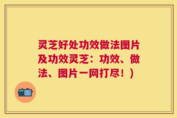灵芝好处功效做法图片及功效灵芝：功效、做法、图片一网打尽！)