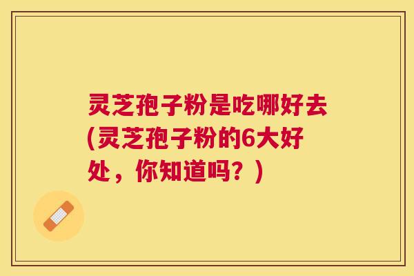 灵芝孢子粉是吃哪好去(灵芝孢子粉的6大好处,你知道吗?) 灵芝孢子粉是吃哪好去(灵芝孢子粉的6大好处,你知道吗?)