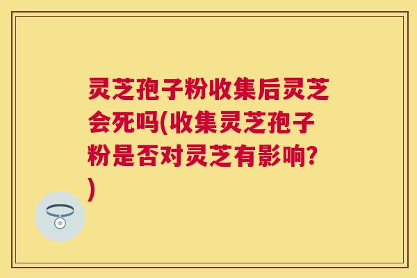 灵芝孢子粉收集后灵芝会死吗(收集灵芝孢子粉是否对灵芝有影响?) 灵芝孢子粉收集后灵芝会死吗(收集灵芝孢子粉是否对灵芝有影响?)