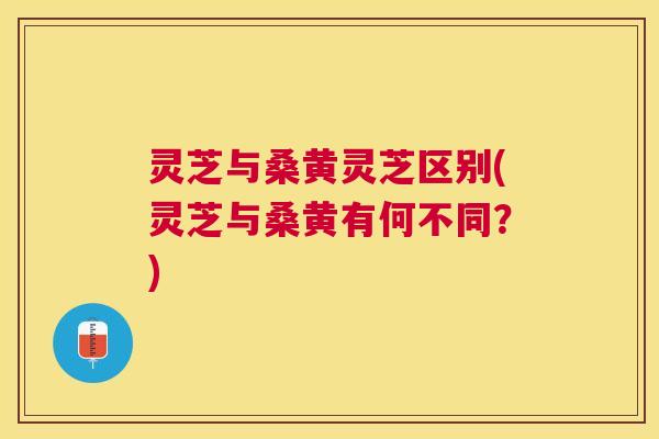 灵芝与桑黄灵芝区别(灵芝与桑黄有何不同?) 灵芝与桑黄灵芝区别(灵芝与桑黄有何不同?)