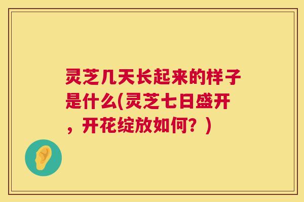 灵芝几天长起来的样子是什么(灵芝七日盛开，开花绽放如何？)